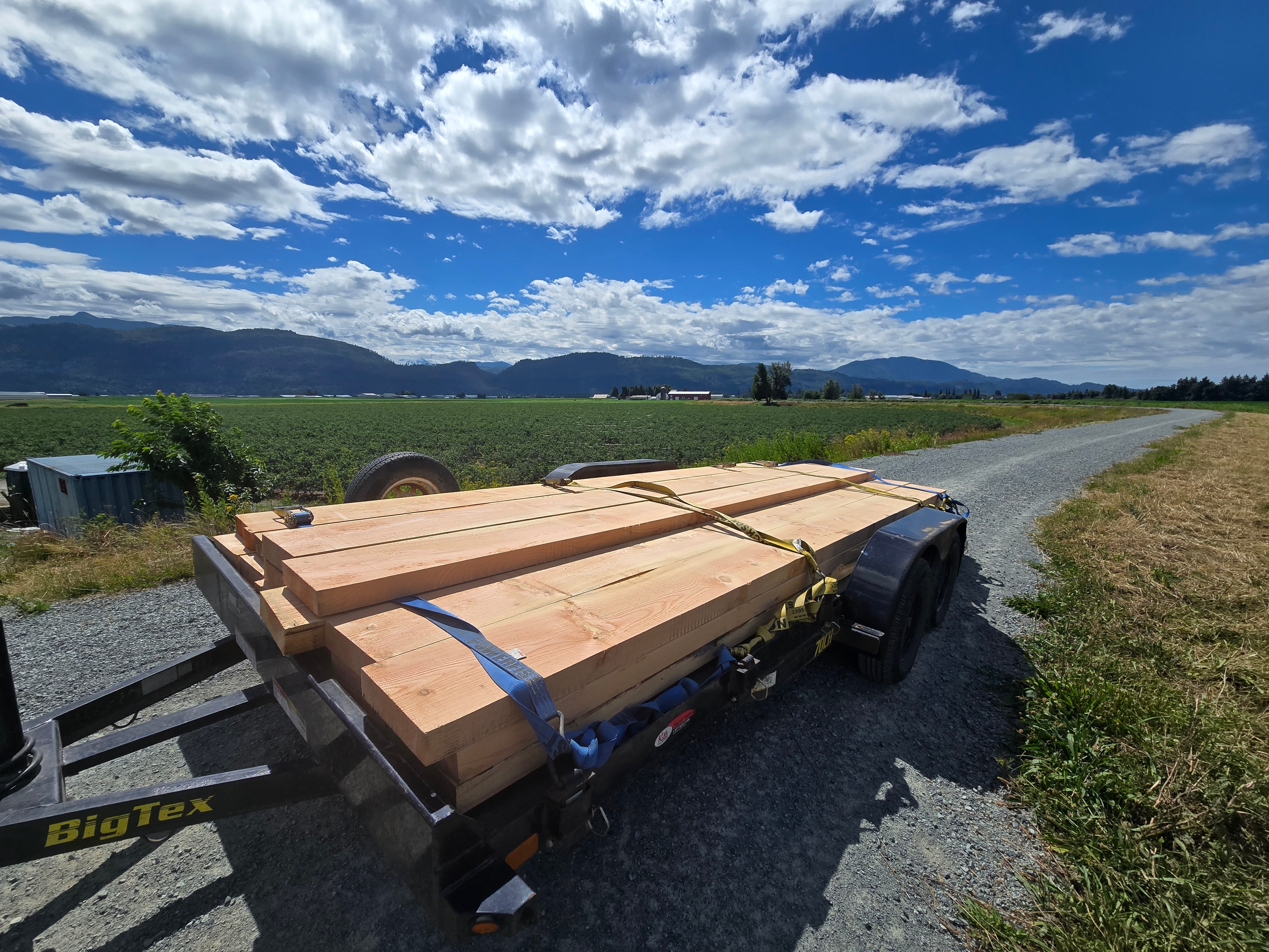 Freshly milled lumber boards stacked in an outdoor yard